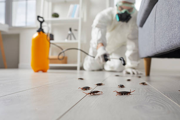 Trusted Fumigation Services service in Corsicana, TX - Nex Pest Control