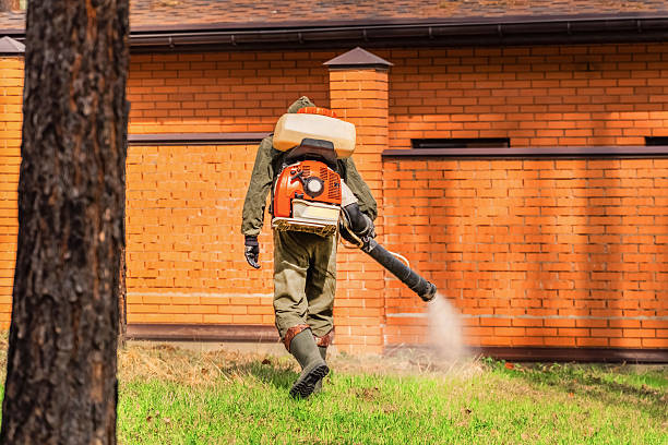 Trusted Bed Bug Control service in Corsicana, TX - Nex Pest Control